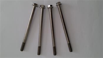 Titanium flange bolt