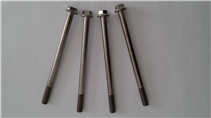 Titanium flange bolt